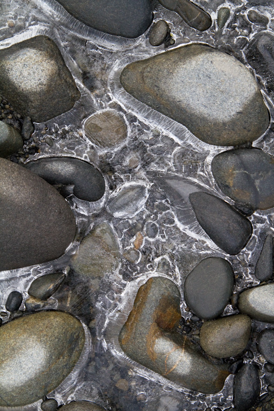 River Rocks Encased In Ice